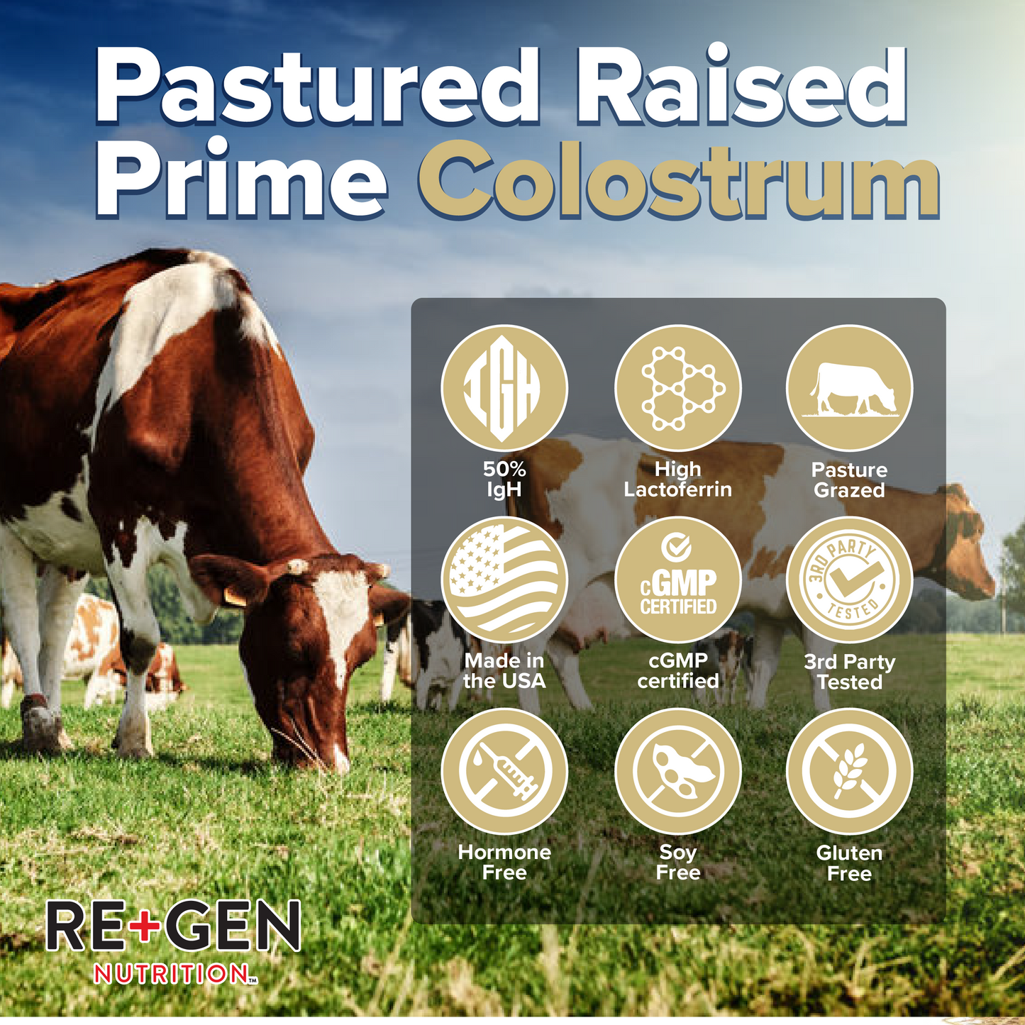 Colostrum Gold 50 Colostrum Powder