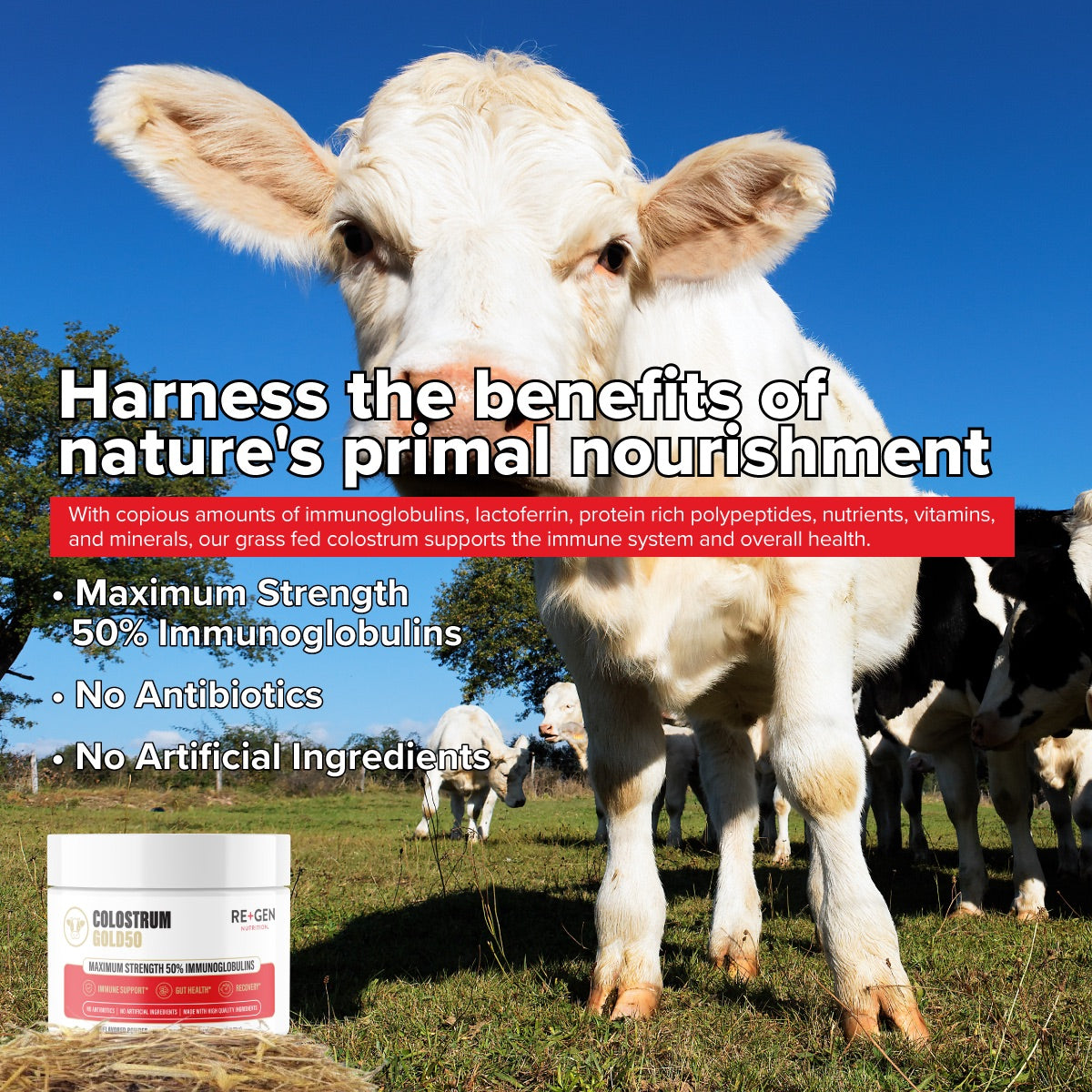 Colostrum Gold 50 Colostrum Powder